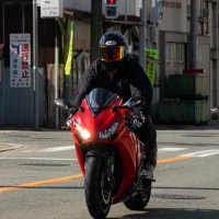 いつき@赤だぬきa.k.a (@itsuki_sc59) 's Twitter Profile Photo