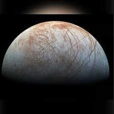 Star39093414's profile picture. wholesome is the way 💜 be pure #mybodymychoice