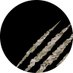 FrenchMad (@frenchmadtrain) Twitter profile photo FrenchMad (@frenchmadtrain) Twitter profile photo