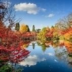 ena978314875164's profile picture. 不動産投資家 // 生活困窮者の方々へ現金プレゼントしております。 // 毎日10万円プレゼント中です！ フォローして参加ください🎁
 こちらで🌈 https://t.co/vkGNToBw1h