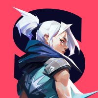 Smashlog®︎VALORANT (@smashlog_vr) 's Twitter Profile