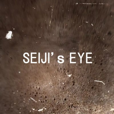 oneday_seijieye Profile Picture