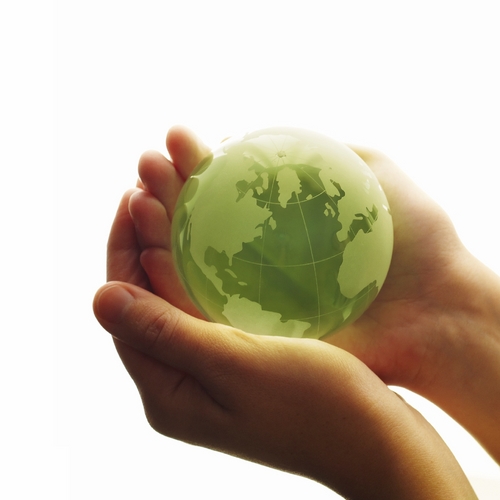 San Diego Pallets, Inc. (SDP) is one of California’s premier suppliers of diverse transport packaging material and creator of the green asset recovery concept.