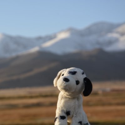 HonuudJona's profile picture. 