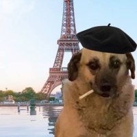 Franko 🇫🇷 (@frankoturko) 's Twitter Profile