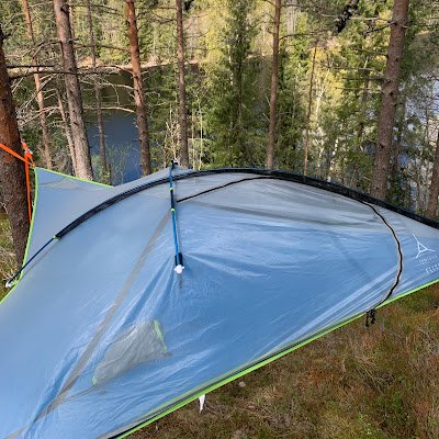 TreetentO73721's profile picture. 