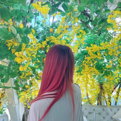 sizuku_y3's profile picture. お仕事はセラピスト🌼八丁堀プライベートサロン🍀もみほぐし&タイ古式マッサージ&オイルマッサージ🦋リラクゼーションのお問い合わせ、ご予約はDMでお気軽にどうぞ✉️ 出勤予定は固定ツイ🌺ライブ参戦が生き甲斐🧡ラバッパー25th🧡珈琲と花と海が好き🏖シュトーレンフロランタンドーナツ💘