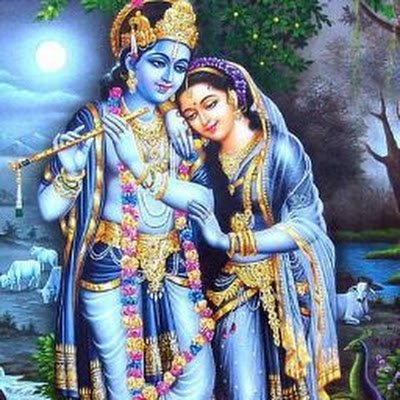 Rekha622563C's profile picture. 