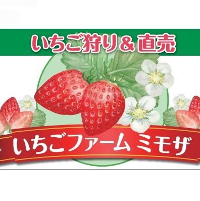 埼玉県和光市にオープン予定のいちご狩りです🍓