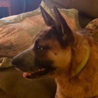 Semper Fi 0352 (@michael78409910) 's Twitter Profile
