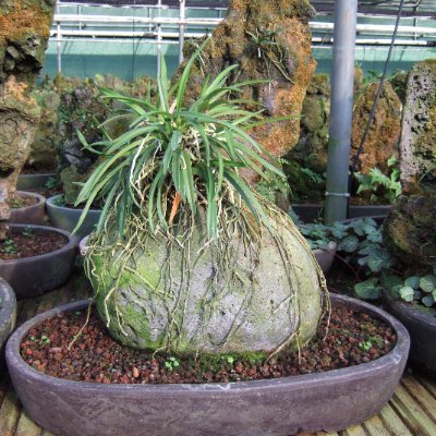 heoju3651's profile picture. 대상과 그것을 마주한 주체 사이에 어떠한 구별도 없는것이다. 그러나 열심히 일할수있는 사람 ! ,   추억을 담고,  자연에 숨을쉬며 나를 믿고 살아간다!!!............