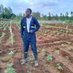 Ken the farmer.🚜 (@kenkamuiru) Twitter profile photo