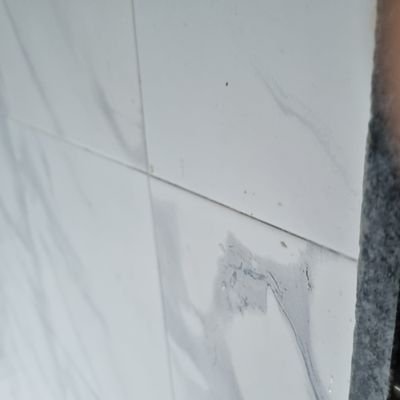 programnat87878's profile picture.
