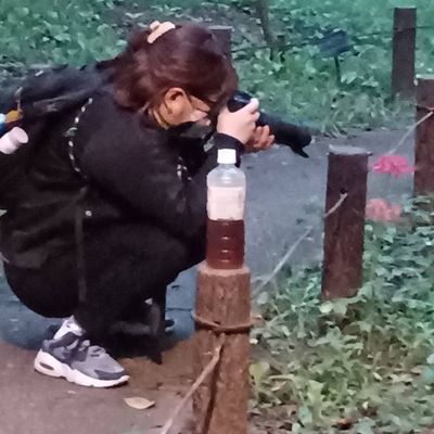 フォトスタジオでもカメラマンやってます! 子ども撮ってます👶 作風はリンクにあります📸 お気軽にご連絡ください📩礼儀正しいです。 つぶやくのやめてましたが少しは動かしてこうと思います!かなりの音楽量聴いて生きてます。生息地はライブハウス