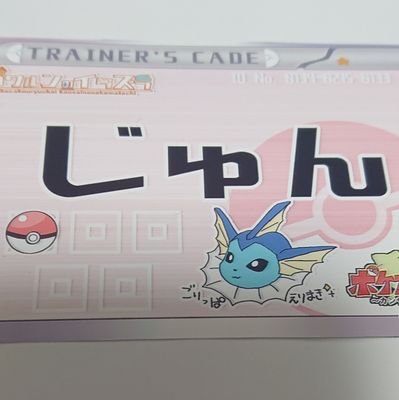 中途半端なポケカコレクターでもあり、プレイヤーでもあります(永遠の初心者)
みんながあまり使わないカードに日の目を当てたい…そんな感じの…
