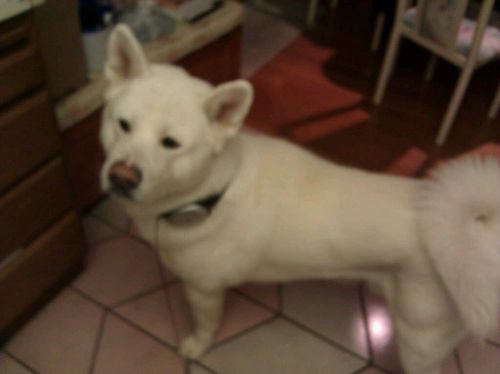 SadRedPanda's profile picture. Spinner, Dancer, Scientist, EDM fan, Foodie drinkin that good old haterade, and can almost always be found half awake.