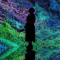 PapiyaNET (@papiyanet) 's Twitter Profile