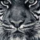 hannah flatt - @bieberfeverlizz - Twitter