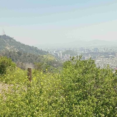 cristobal_0711's profile picture. Ciclista,junior de todo un poco