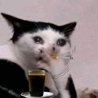 Kadal__Oleng's profile picture. Member grub jual beli musang 🦆