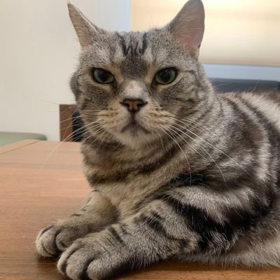 binlixiong16835's profile picture. 