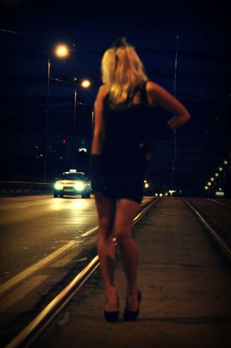 Ziemelee's profile picture. love and peace
animal inside