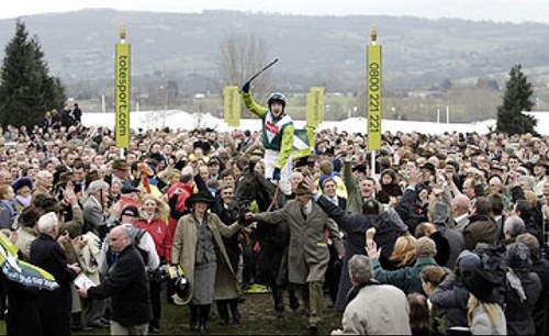 S4MMY1984's profile picture. Professional Jockey, Rider of The Tank, Denman! Instagram @s4mmy1984