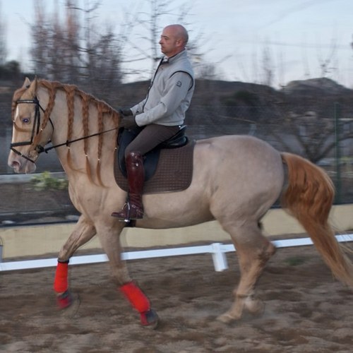 hipicaquiron's profile picture. 