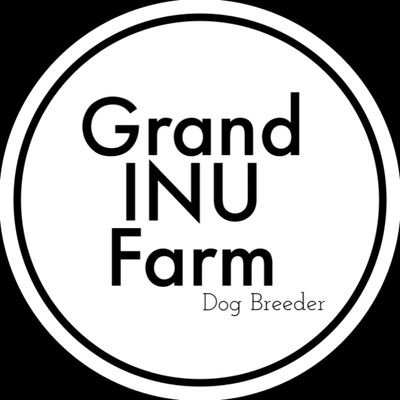 grand_inu_farm Profile Picture