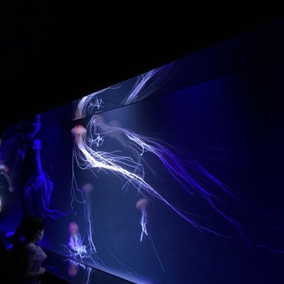 hanur_26's profile picture. 