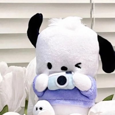 sunjiklpu's profile picture. 