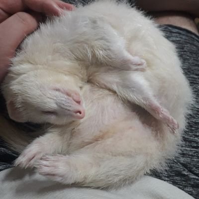 Edison_ow Profile