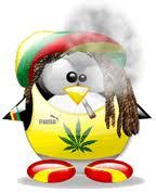 hello im just sombody in this big world. End join  this site becuase i want to learn more aboute. Hardware and software and the world-wide-web.