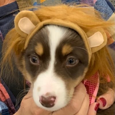 m_skis's profile picture. 