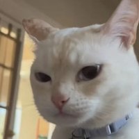 KEEM. (@obaihakeem) 's Twitter Profile