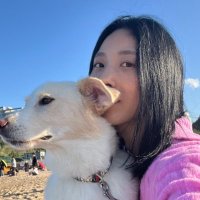 💭 (@choomzzangceo) 's Twitter Profile Photo