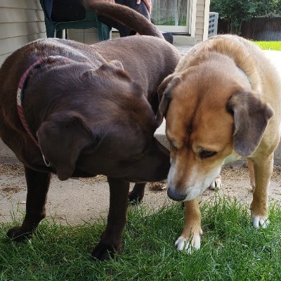 I'm hopelessly in love with all animals, not just the cute ones.