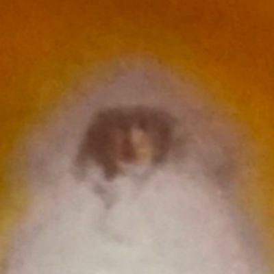 Kryon_10Kryon's profile picture. キリスト教の天使 クライオン #Kryon は仏教の #天鼓雷音如来 と同一の守護神（天鼓が響かせる雷鳴のような音をもつ者）

人は胎児期に呼吸器を育くみ、地上の生涯を送る備えをなすが如く
愛を呼吸する円熟した人格を育み、天上の #永遠の命 に備えるべし

#天は二人 と書く #天上の幸 は愛し合う唯一無二の夫婦関係に