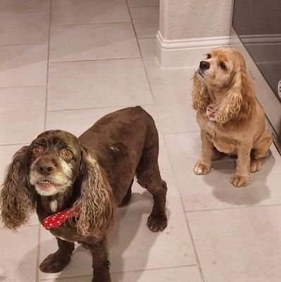 tamatha_denton's profile picture. 