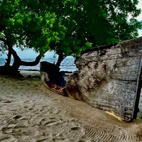 Bringing us to Belize (@bringustobelize) 's Twitter Profile