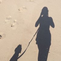 Laurie Ortiz (@laurieortiz) 's Twitter Profile