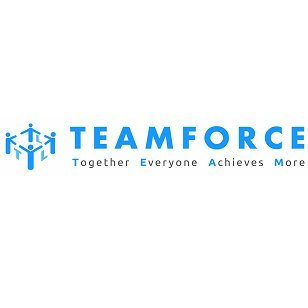 TEAMFORCE Labour Ltd