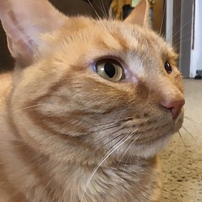 maddie62458's profile picture. Im Nathan, i play fortnite,gta,and on the road,and ps4 and mobile Roblox