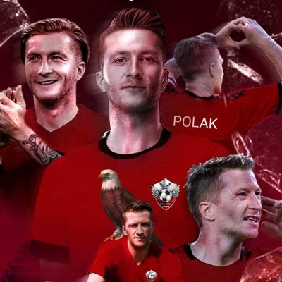 Polak7813 Profile