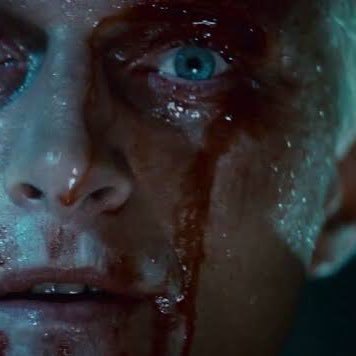 502error_sh's profile picture. 