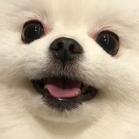 RIN (@azure_jin7) 's Twitter Profile