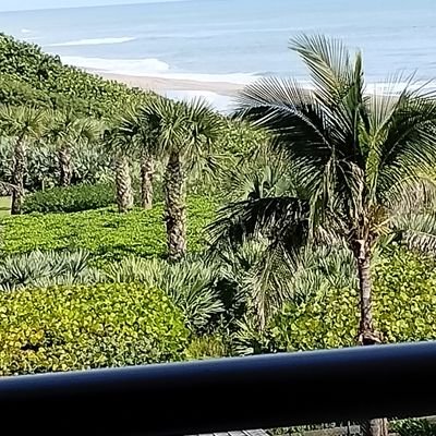 laughingdragon2's profile picture. 