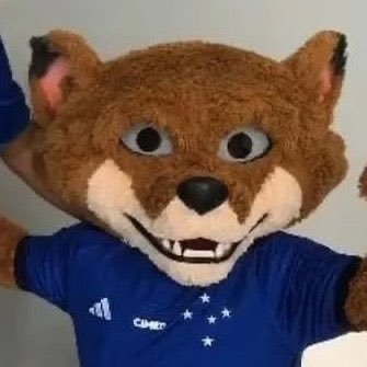 @cruzeiro || Página de humor e notícias , Segue o Raposão aí 💙