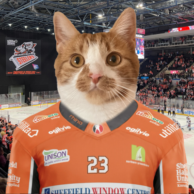 Sheffield Steelers | #BleedOrange | #SteelersHockey