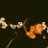 ohlouismadeit's profile image